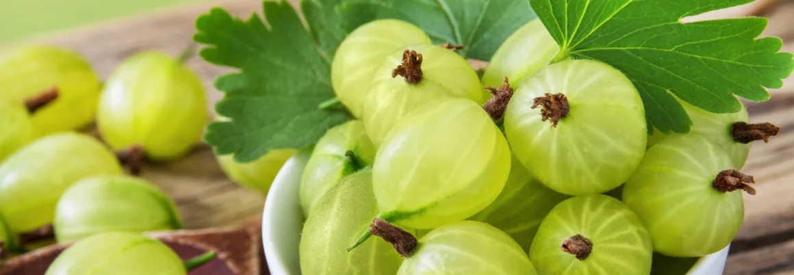 Schüssel mit Stachelbeeren und Blättern